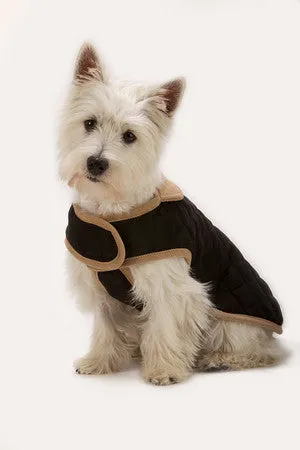 Dog Coat for Little Dogs