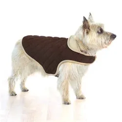 Dog Coat for Little Dogs