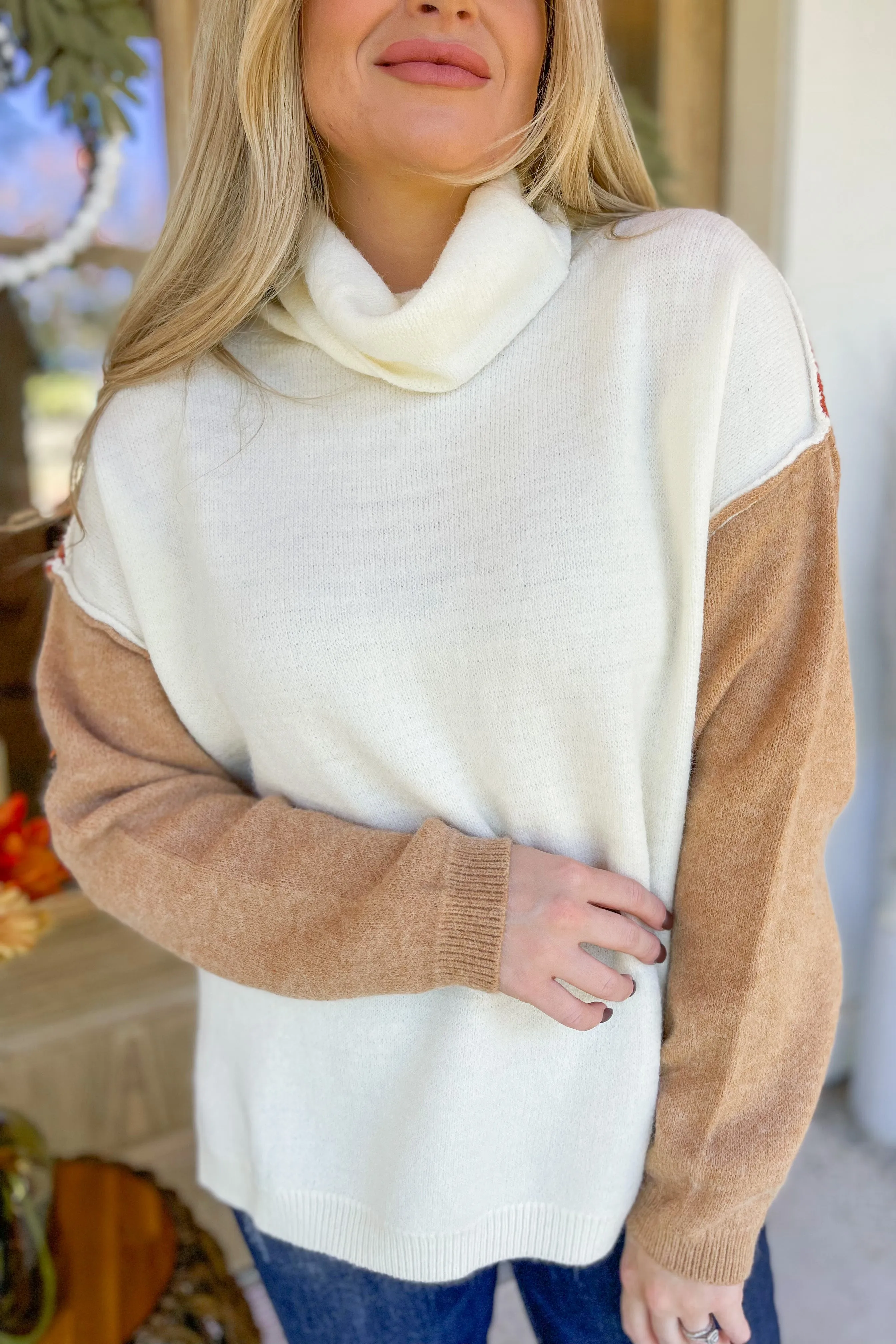 Mary Long Sleeve Color Block Turtle Neck Sweater Top